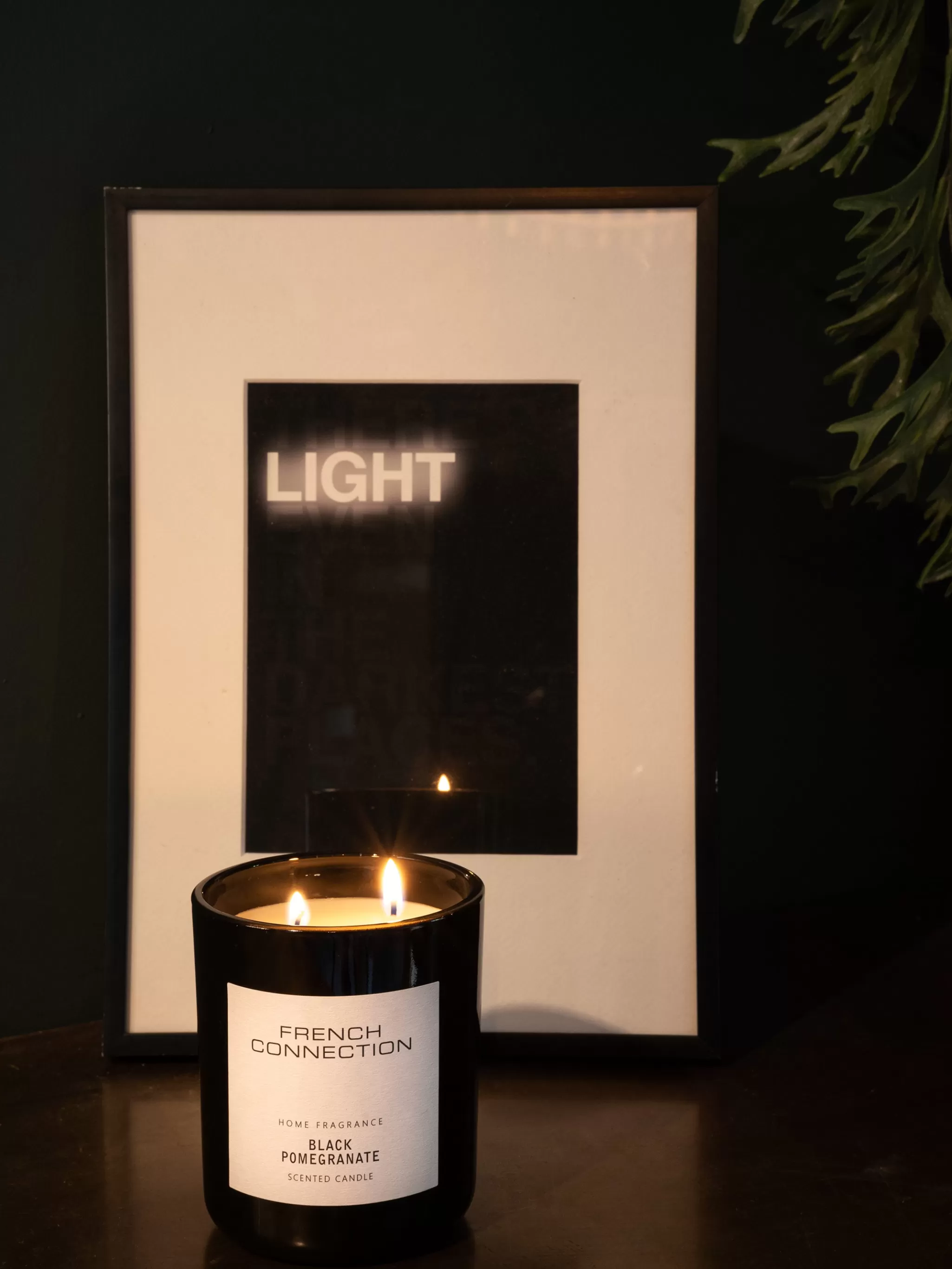 French Connection Home Accessories^Classic 251g Candle
