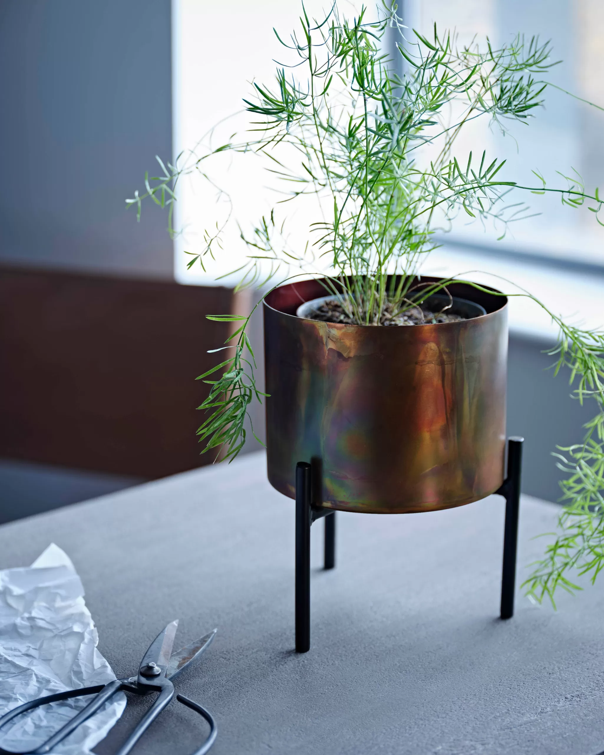 French Connection Home Accessories | Planters^Molten Copper Desktop Planter